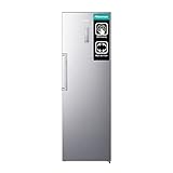 Hisense RL481N4BIE - Frigorífico y congelador kit unit, 382 L, una puerta, Inox