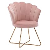Duhome Silla tapizada sillón con Patas de Metal Dorado sillón Lounge salón 8057C, Color:Rosa Claro, Material:Terciopelo