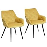 MEUBLE COSY Mueble – Juego de 2 sillas de comedor escandinavas de terciopelo amarillo, silla de salón de diseño con reposabrazos, acero inoxidable, 56 x 59 x 75 cm