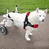 Sillón de ruedas para perro, silla de ruedas para perro para compañía para perro que no se pelen. Se sirva de sus patas traseras, soporte auxiliar paralizado, perro discapacitado, llegue en 3 días (L)